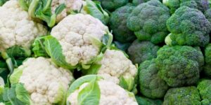 Broccoli en bloemkool verminderen longkanker risico bij zware rOKers