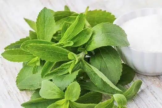 stevia
