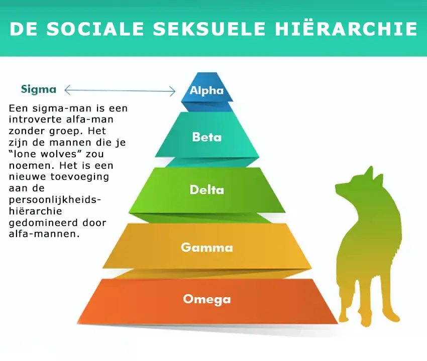 De sigma-man: charmant, zelfstandig, en moeilijk vast te houden