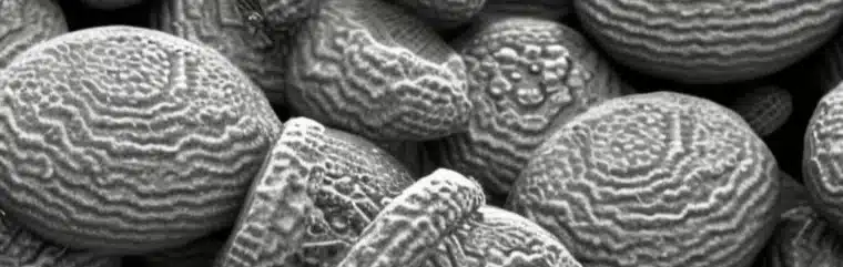 Illustratie van bacteriën onder een microscoop in stripstijl