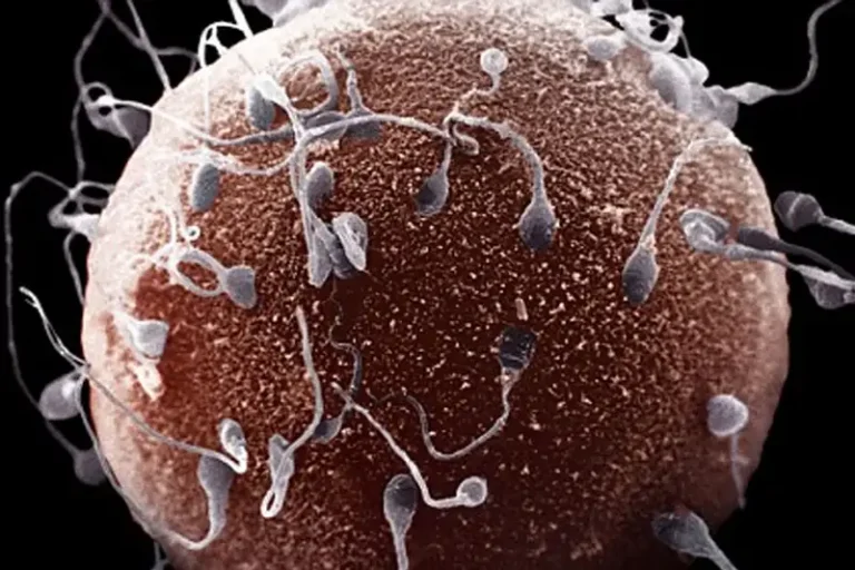 De zorgwekkende stijging van onvruchtbaarheid bij mannen en vrouwen wereldwijd