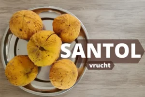 Santol