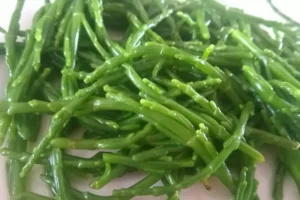 Zeekraal - Zilte groente die aan de kust groeit Bron van mineralen + 3 recepten