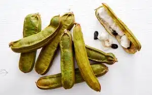 Ice Cream Bean - De ijsboon uit Zuid-Amerika