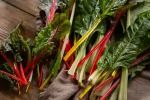 Snijbiet - Verwant aan spinazie, bevat veel ijzer en vitamine K + 3 recepten.