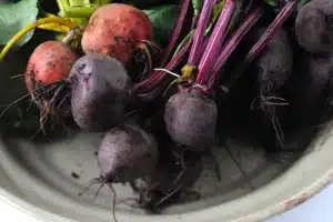 Ontdek de gezondheidsvoordelen en heerlijke recepten met rode bieten. Voeg deze veelzijdige groente toe aan je dieet voor een gezonde levensstijl.