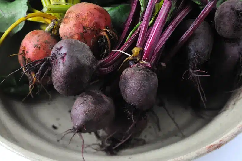 Ontdek de gezondheidsvoordelen en heerlijke recepten met rode bieten. Voeg deze veelzijdige groente toe aan je dieet voor een gezonde levensstijl.