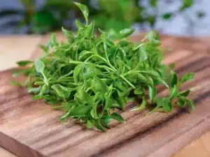 Waterkers - De Pittige Waterplant Die Rijk Is Aan Vitaminen + 3 Lekkere Recepten