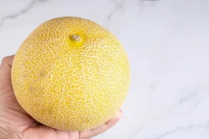 De Galia meloen
