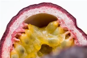 Passievrucht