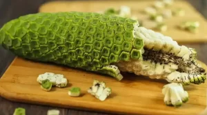 Monstera Fruit – De gatenvrucht uit Mexico
