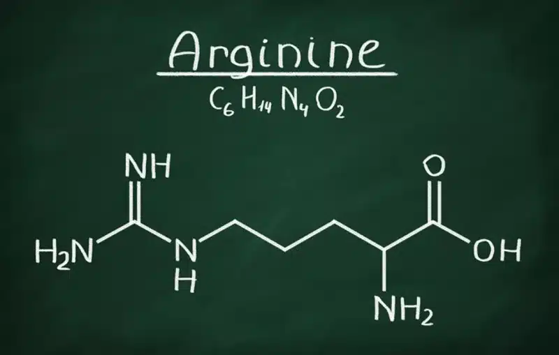Arginine – Het belang van dit aminozuur bij jouw spierherstel en spiergroei
