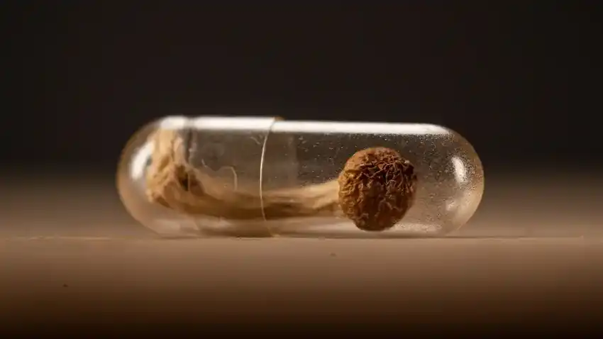 Psychedelisch Middel Helpt Mensen Met Alcoholverslaving In De Grootste Klinische Proef Ooit