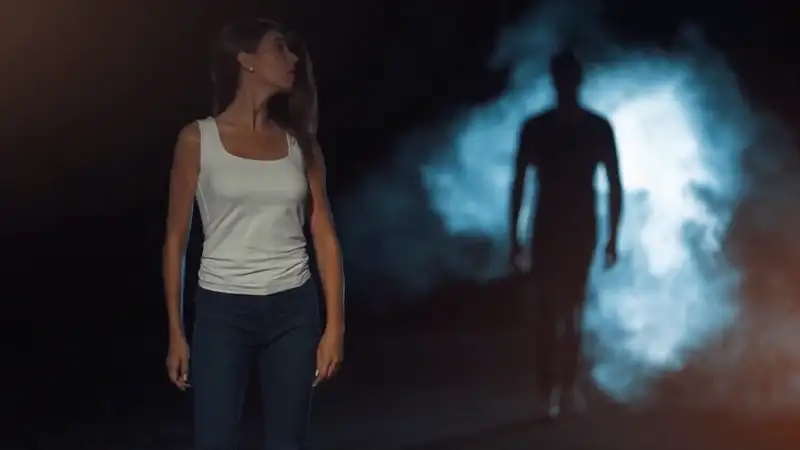 De Ontbrekende Schakel Voor JOUW Succes - Schaduwwerk