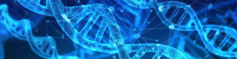 Darwins twijfel: Hoe wiskunde een einde heeft gemaakt aan de evolutie theorie
