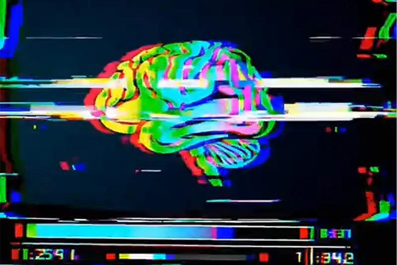 Er Zijn Drie Soorten Denkers. Welke Ben Jij? Neurodiversiteit En Neurodivergentie Uitgelegd - dr. Temple Grandin