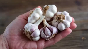 Wat Gebeurt Er Met Je Lichaam Als Je Regelmatig Knoflook Eet