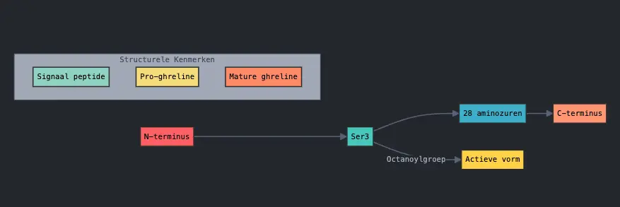 Wat is Ghreline? Alles wat je moet weten over dit hormoon