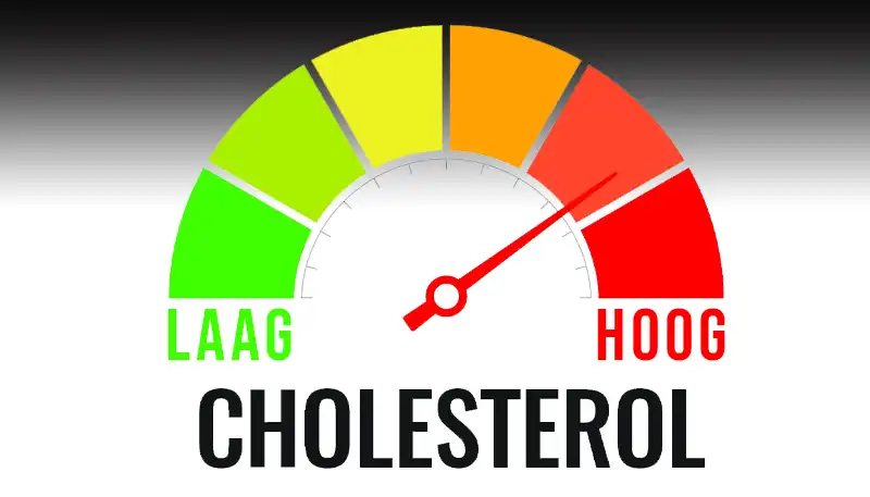 Cholesterol: Wat is het verschil tussen LDL en HDL?