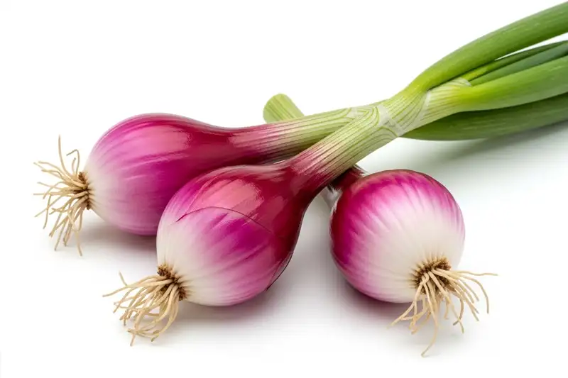 Goodfeeling.nl - rode uit