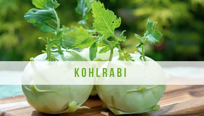 De Kohlrabi: Een Culinaire Ontdekkingsreis door Geschiedenis, Herkomst en Keuken + Recept