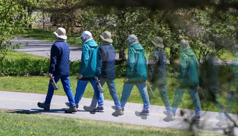 Kortdurende Bewegingen Verbranden Dus Meer Energie Dan Een Lange Training?