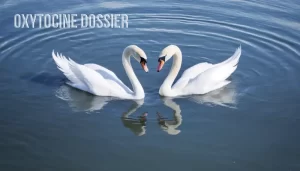 Oxytocine en Man-Vrouw Relaties: Een Uitgebreid Dossier