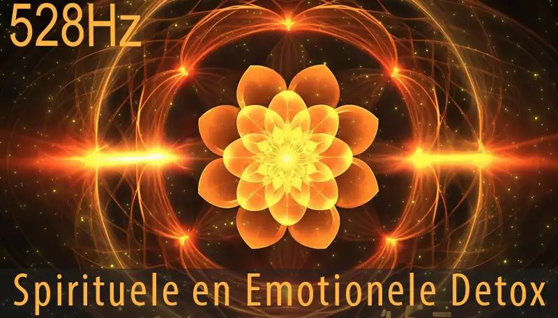 Wat is het Effect van 528hz