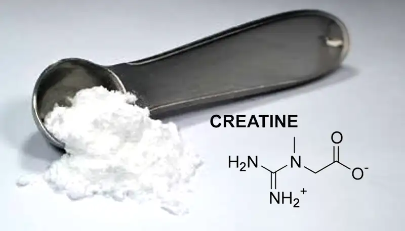 GoodFeeling.nl - Dit Is Hoe Creatine Spiergroei Bevordert