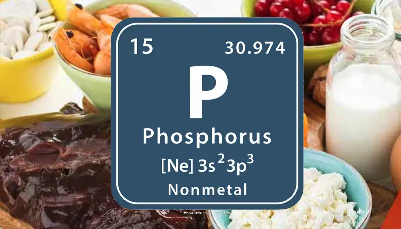 GoodFeeling.nl - Fosfor de Botversterker