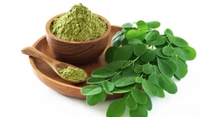 Moringa Oleifera