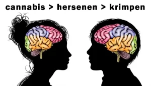 Goodfeeling - Cannabisgebruik Bij Jongeren Direct Gelinkt Aan Krimpen Van De Hersenen