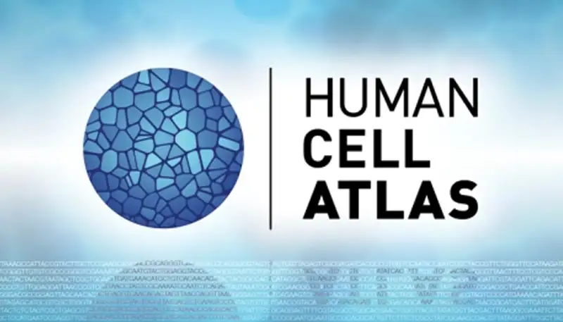 The Human Cell Atlas is een Revolutie in de Geneeskunde