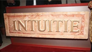 Het Onderzoeken van de Kracht van Intuïtie
