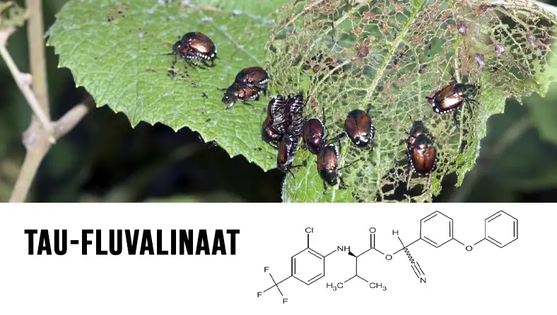 tau-fluvalinaat