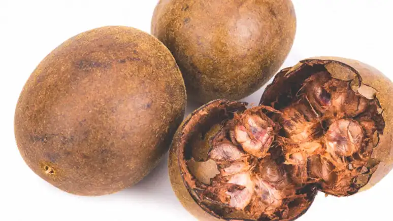 Monniksfruit: Een uitgebreid onderzoek naar geschiedenis, toepassingen en gezondheidsaspecten