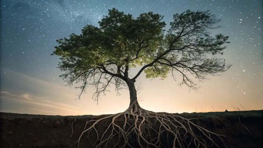 De 4 Langetermijnvoordelen van Meditatie