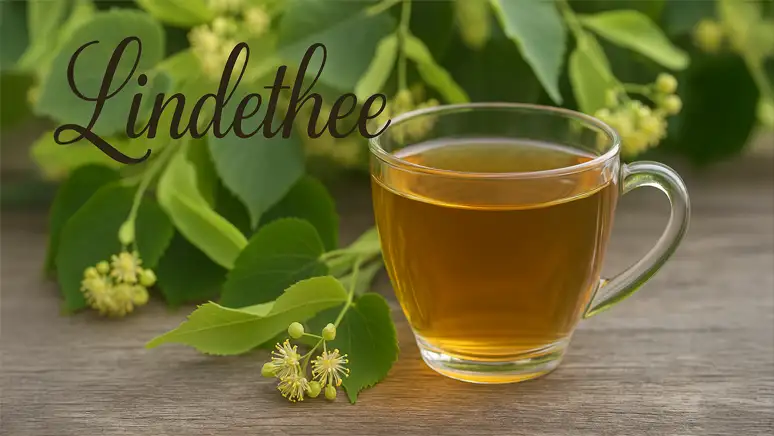 Ontdek de Rustgevende en Helende Kracht van Lindethee