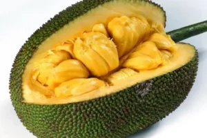 Durianfruit: Sterke Geur, Maar Boordevol Voedingsstoffen + 15 Belachelijk Goeie Gezondheidsvoordelen