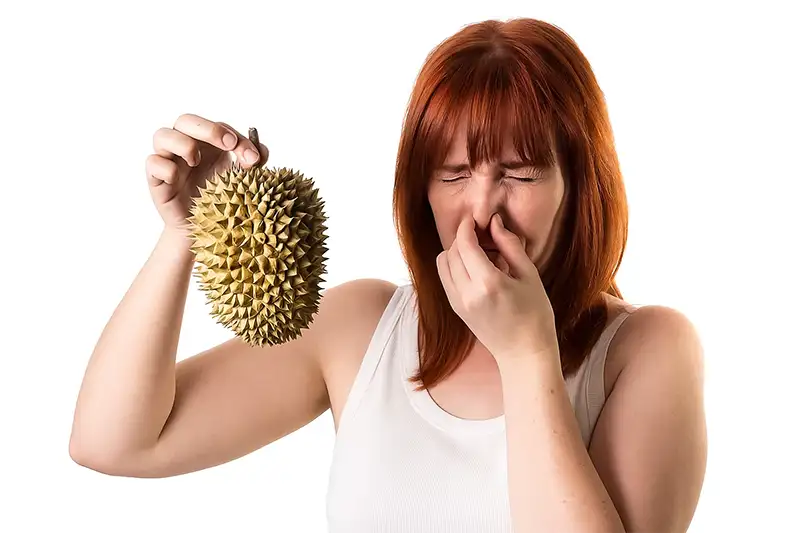 De geur is extreem doordringend en wordt omschreven als een mix van zwavel, rioollucht, fruit, honing en geroosterde of rottende uien.