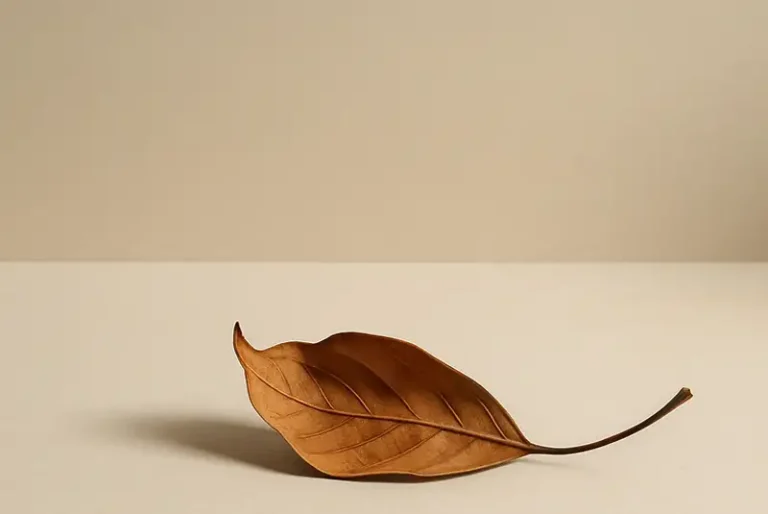 50 Affirmaties voor Innerlijke Rust