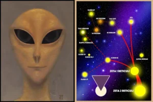Anatomie van de “Greys” (Zeta Reticuli)