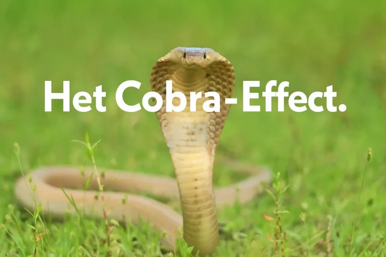 Cobra Effect