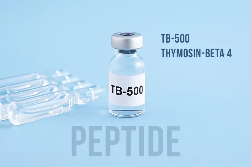 Tb-500 (Thymosin-beta 4) Uitgelegd: Werking, Voordelen En Dosering Van Deze Peptide