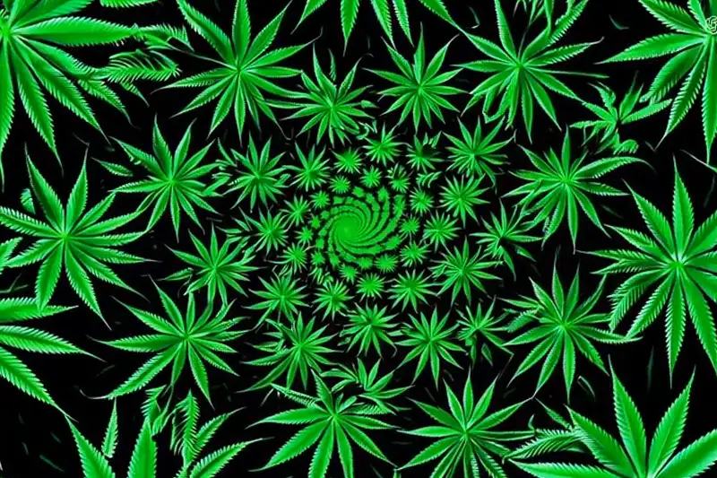 Hoe Stop Ik Met Blowen?