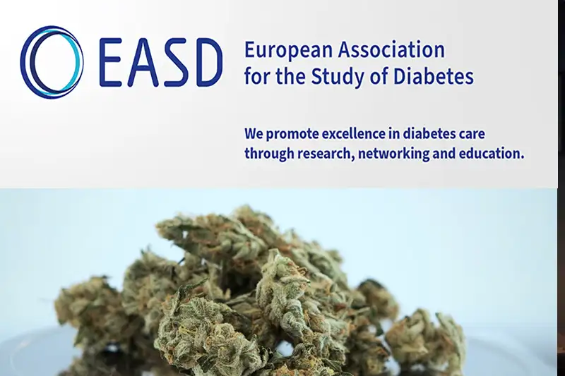Cannabisgebruik Verviervoudigt Risico Op Diabetes, Volgens Studie Bij 4 Miljoen Volwassenen