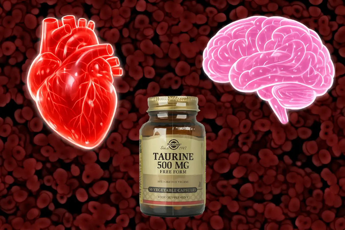 De 4 verrassende effecten van TAURINE
