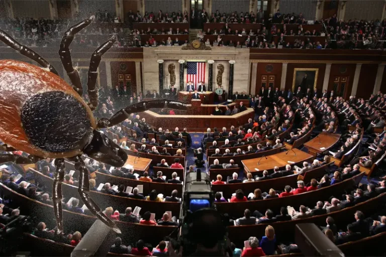 de oorsprong van de ziekte van Lyme