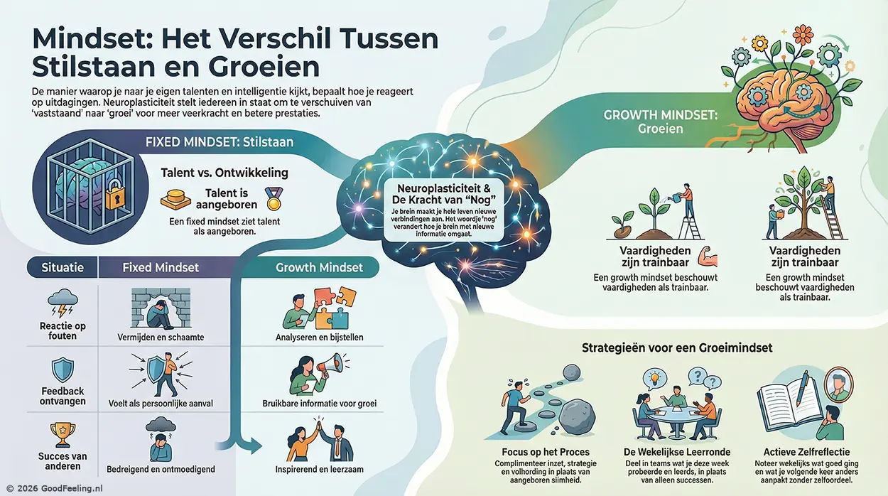 Infographic