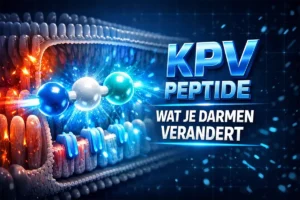 KPV: het kleine peptide van slechts drie aminozuren dat chronische ontsteking van binnenuit aanpakt